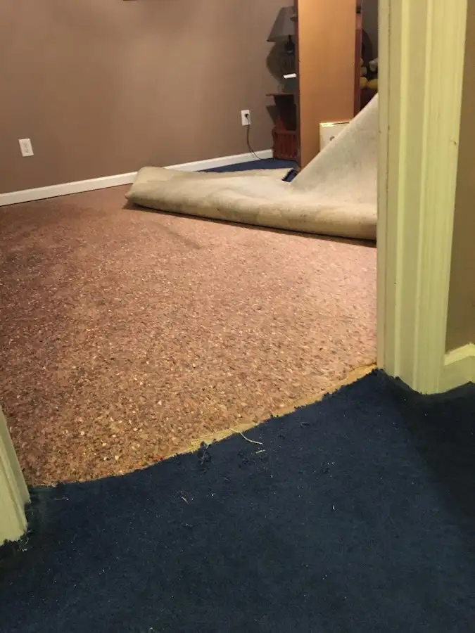 Carpet pad removal revealing water damage during Drying & Dehumidification in Lorton
