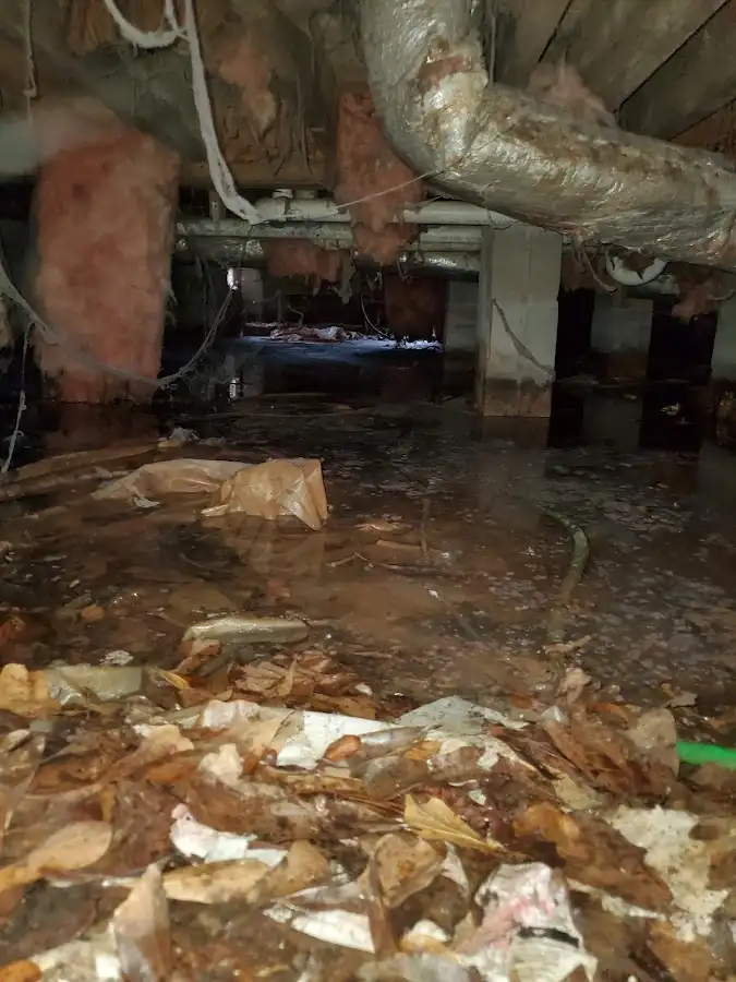 Crawl space flood assessment for Commercial Water Damage Restoration in Lorton