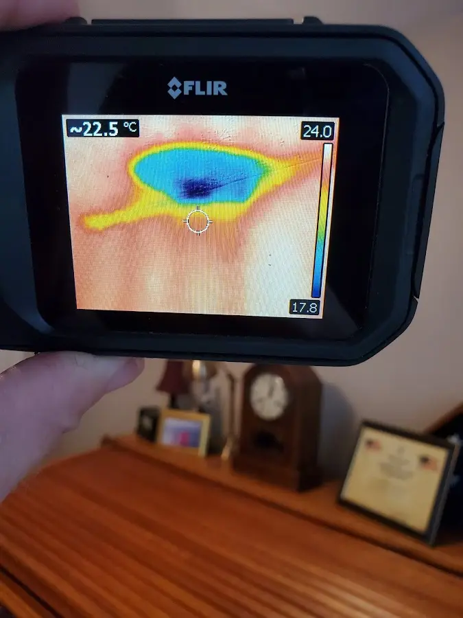 Thermal imaging inspection for water damage in Lorton