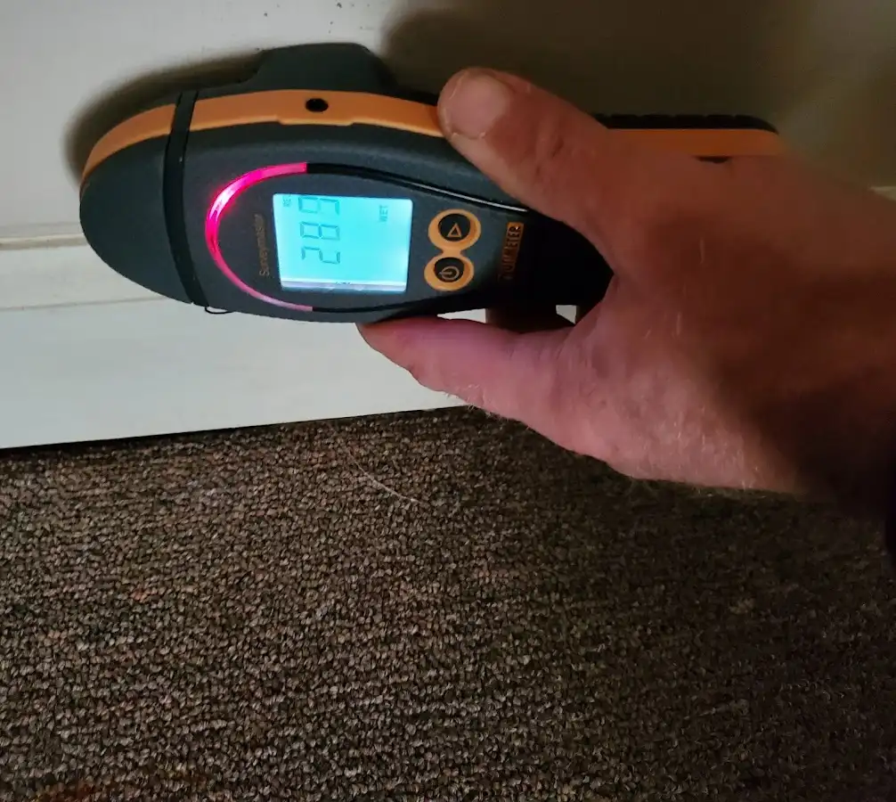Moisture detection at baseboard during Sewage Cleanup & Sanitation in Lorton